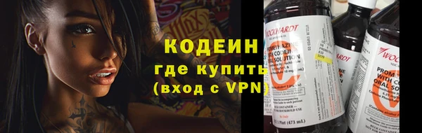 прущие грибы Наволоки