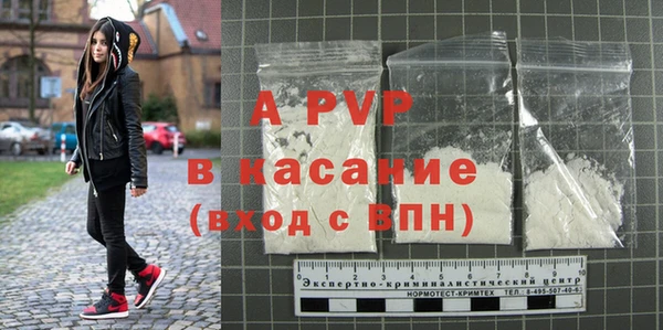 прущие грибы Наволоки