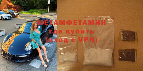 прущие грибы Наволоки