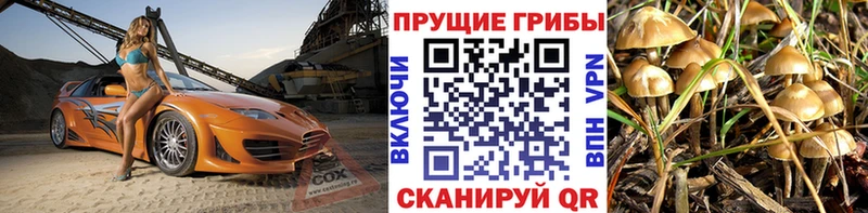 наркотики  сайты даркнета как зайти  Галлюциногенные грибы GOLDEN TEACHER  Малгобек 